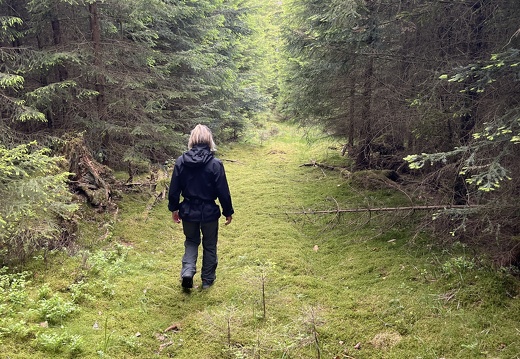 22-05-29 13-58-41 0977